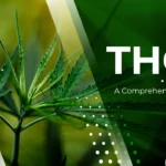 THCH: A Comprehensive Overview