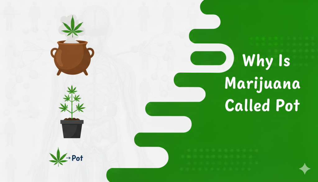 Why Is Marijuana Called Pot