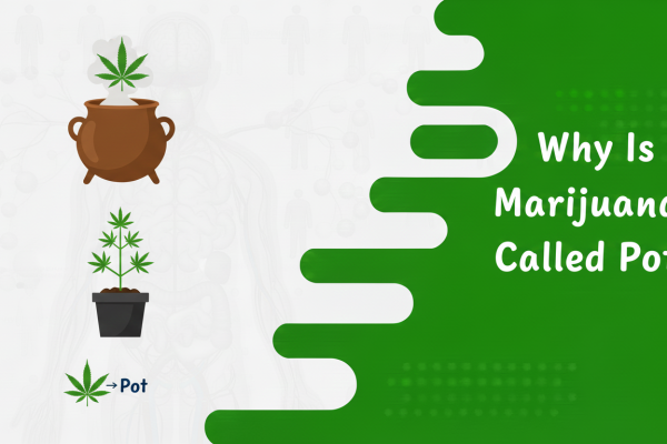 Why Is Marijuana Called Pot