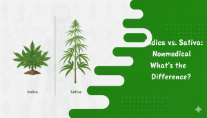 Indica vs. Sativa