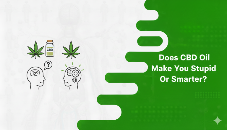 Does CBD Oil Make You Stupid Or Smarter?