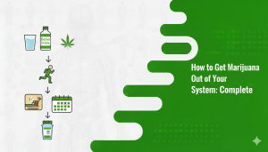 How to Get Marijuana Out of Your System