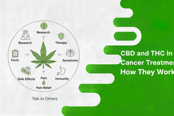 CBD and THC in Cancer Treatment