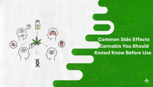 Side Effects of Cannabis