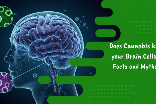 Does Cannabis kill your Brain Cells