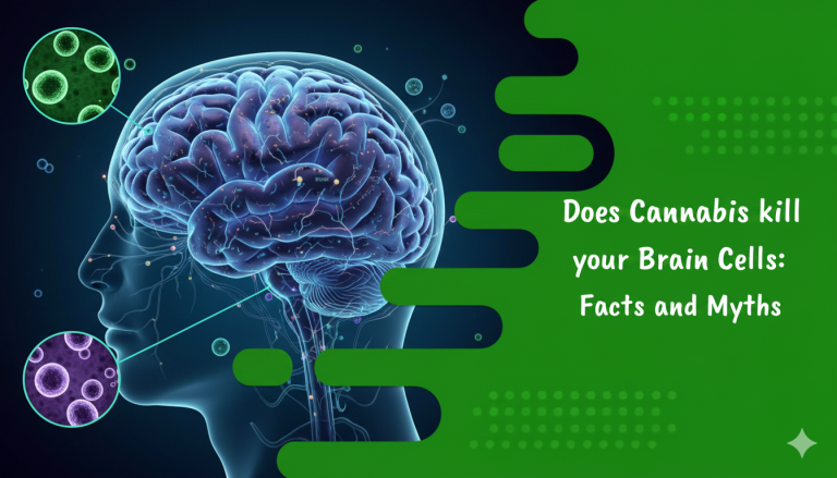 Does Cannabis kill your Brain Cells: Facts and Myths